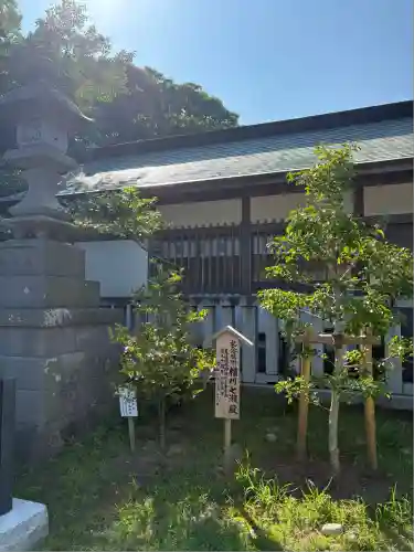 大洗磯前神社(茨城県)