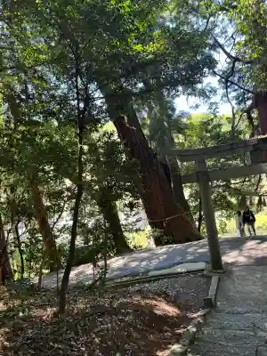 高岡神社の{uncategorized: "未分類", other: "その他", undefined: "問題あり", building: "その他建物", grave: "お墓", sacred_gate: "鳥居", guardian: "狛犬", statue: "像", buddha: "仏像", history: "歴史", nature: "自然", garden: "庭園", animal: "動物", pagoda: "塔", temizu: "手水舎", mountain_gate: "山門・神門", sanctuary: "本殿・本堂", subordinate: "末社・摂社", art: "芸術", scenery: "景色", jizo: "地蔵", ema: "絵馬", goshuin: "御朱印", omikuji: "おみくじ", items: "授与品その他", amulet: "お守り", goshuincho: "御朱印帳", eats: "食事", festival: "お祭り", votive_dance: "神楽", shichigosan: "七五三参", wedding: "結婚式", experience: "体験その他", initially: "初詣", around: "周辺", anti_infection: "感染症対策"}