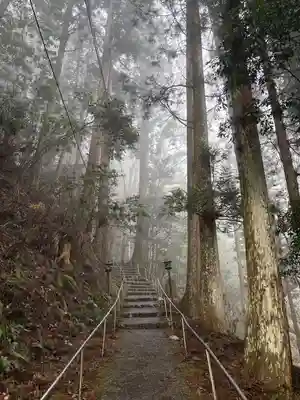 岩屋寺(愛媛県)