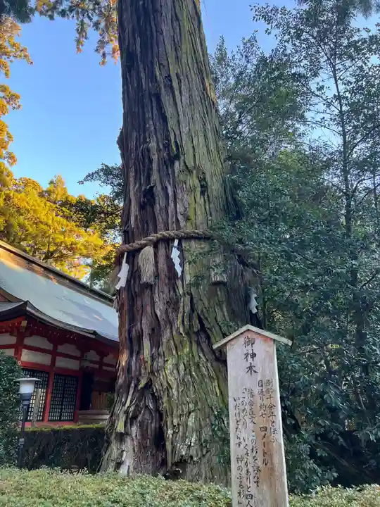 香取神宮(千葉県)