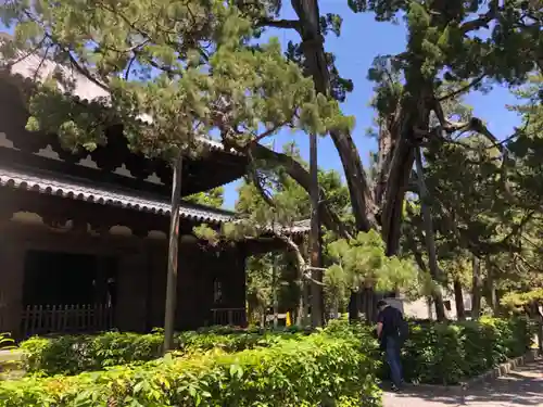 大徳寺(京都府)