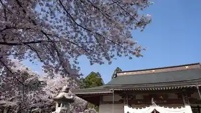 妙了寺のその他建物