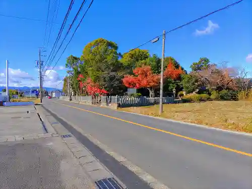 須佐之男社（明地）の自然