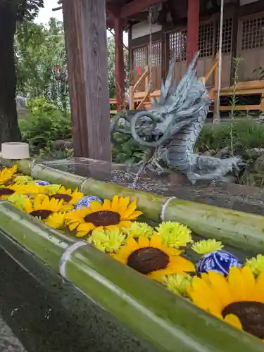 無量寿院宝禅寺(群馬県)