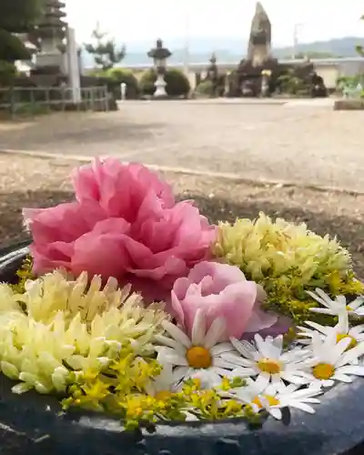 真言宗　善通寺派　薬王寺の手水