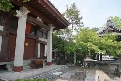 善福寺の本殿・本堂