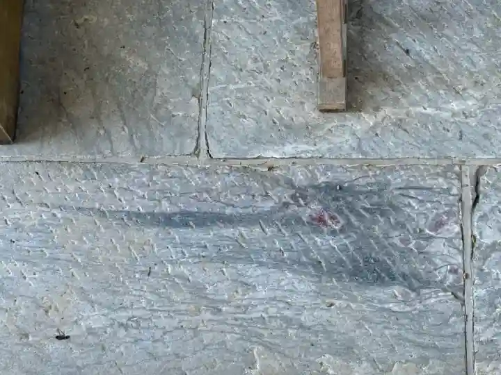 三峯神社(埼玉県)