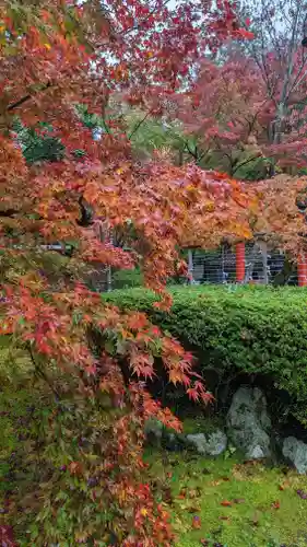 大原野神社(京都府)