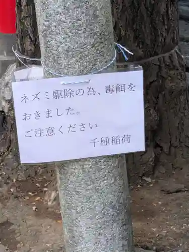 千種稲荷神社の動物