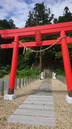 白山神社の鳥居