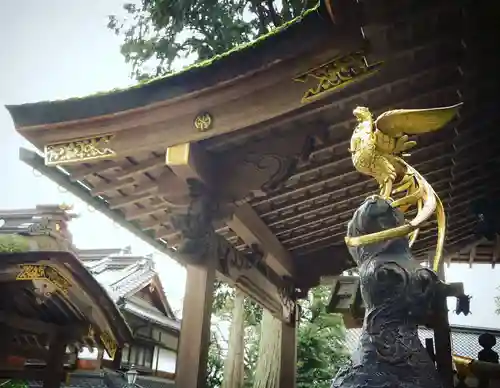 宇倍神社の狛犬