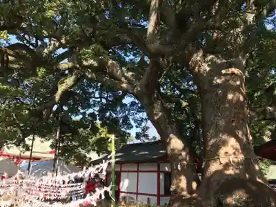 春日神社(大分県)