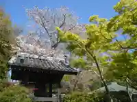 浄光明寺のその他建物