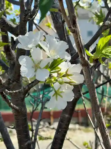 妙蓮寺(神奈川県)