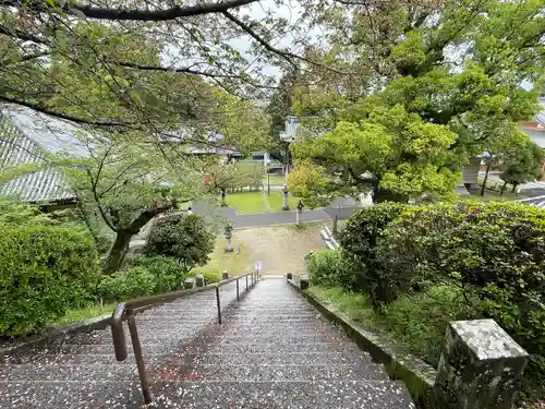 観音寺(香川県)