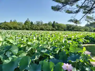 胸肩神社(青森県)
