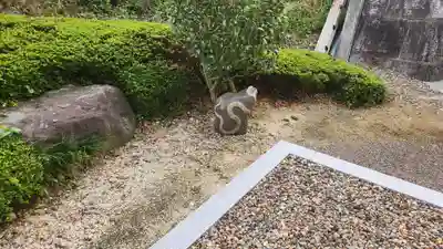 三乗院(福島県)