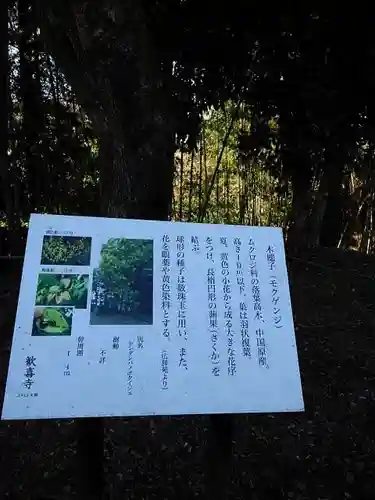 歓喜寺の庭園