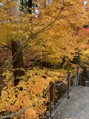 尊永寺(静岡県)