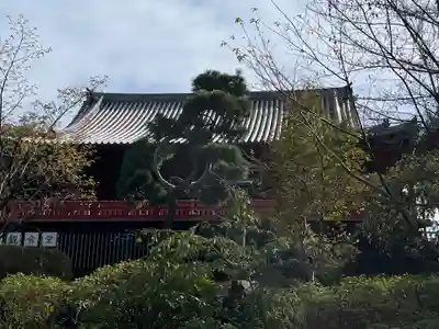 清水観音堂(東京都)