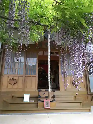 住雲寺の自然