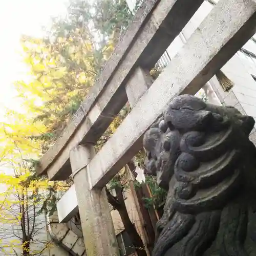 日本橋日枝神社の狛犬