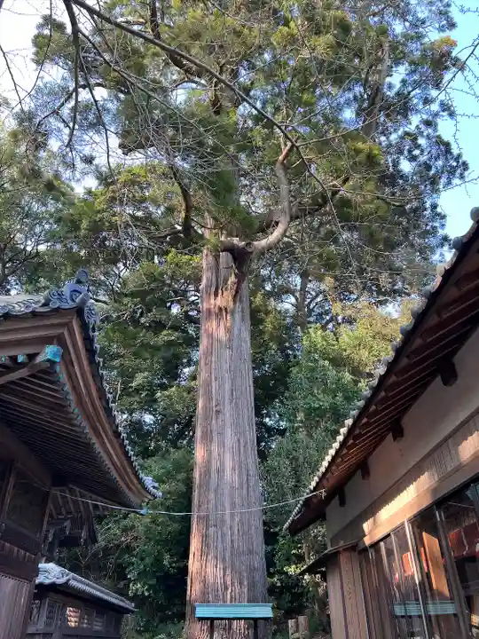 事任八幡宮(静岡県)