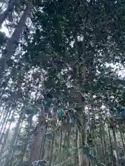 大宮温泉神社の自然