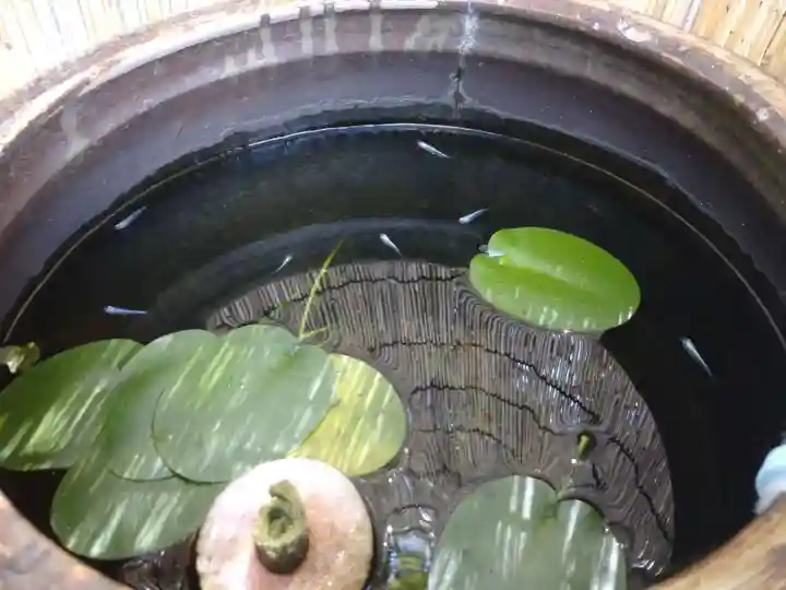 観音寺のその他建物