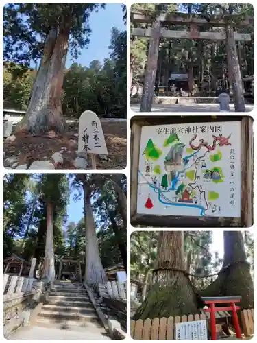 室生龍穴神社(奈良県)