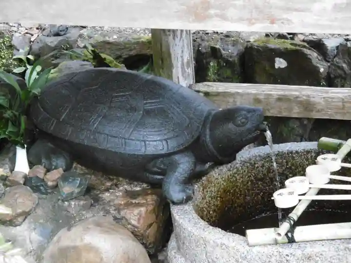 松尾大社の手水舎