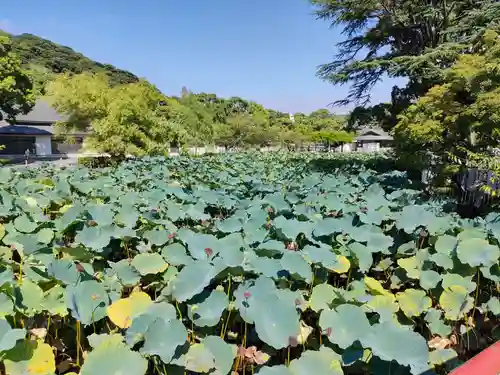 旗上弁財天社の景色