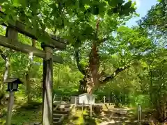 那須温泉神社(栃木県)