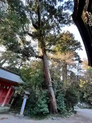 香取神宮(千葉県)