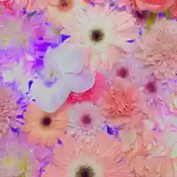 札幌諏訪神社の手水舎