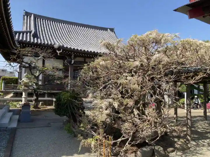 等覚院(藤巻寺)(神奈川県)