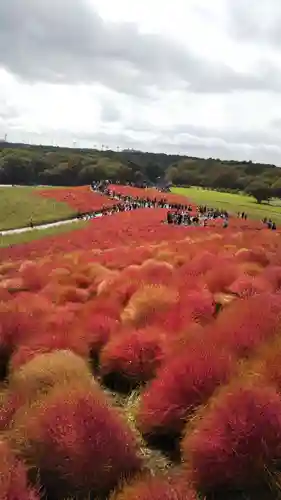 酒列磯前神社の周辺
