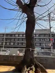 金山神社(香川県)