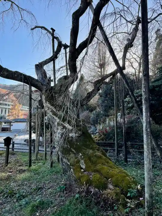 太山寺(栃木県)