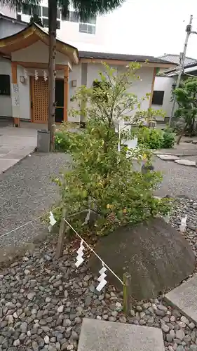 正ノ木稲荷 稲積神社の自然