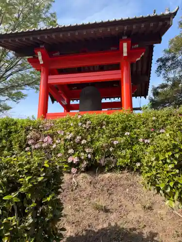 圓明院の{uncategorized: "未分類", other: "その他", undefined: "問題あり", building: "その他建物", grave: "お墓", sacred_gate: "鳥居", guardian: "狛犬", statue: "像", buddha: "仏像", history: "歴史", nature: "自然", garden: "庭園", animal: "動物", pagoda: "塔", temizu: "手水舎", mountain_gate: "山門・神門", sanctuary: "本殿・本堂", subordinate: "末社・摂社", art: "芸術", scenery: "景色", jizo: "地蔵", ema: "絵馬", goshuin: "御朱印", omikuji: "おみくじ", items: "授与品その他", amulet: "お守り", goshuincho: "御朱印帳", eats: "食事", festival: "お祭り", votive_dance: "神楽", shichigosan: "七五三参", wedding: "結婚式", experience: "体験その他", initially: "初詣", around: "周辺", anti_infection: "感染症対策"}