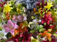 札幌諏訪神社の手水舎