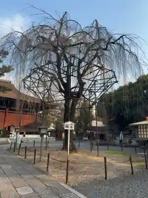 大報恩寺(千本釈迦堂)(京都府)