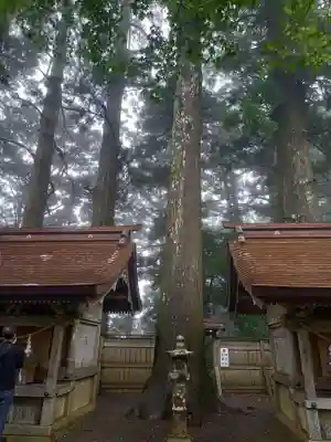 玉置神社(奈良県)