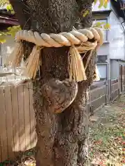 小室浅間神社の自然