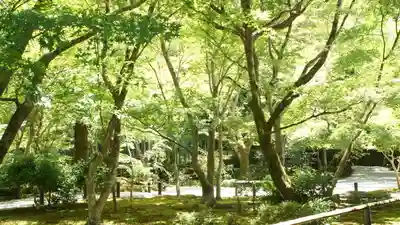 圓光寺(京都府)