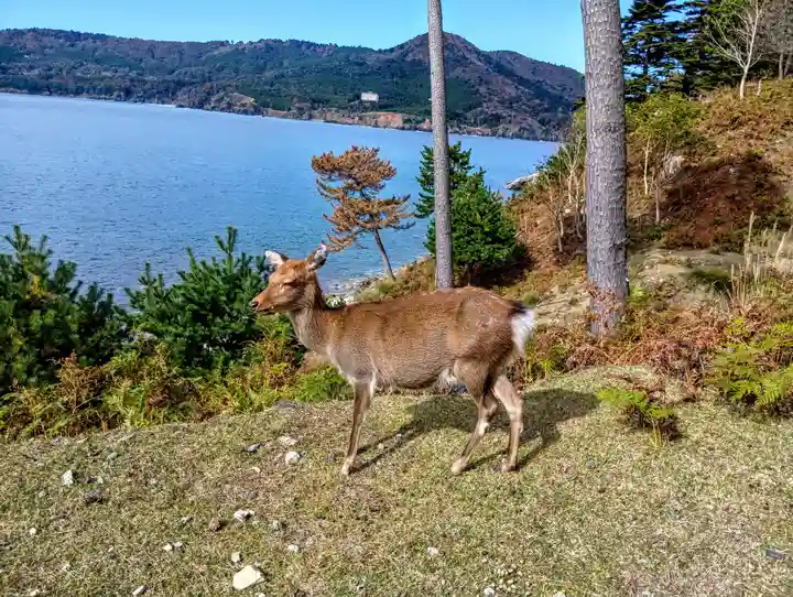 金華山黄金山神社(宮城県)