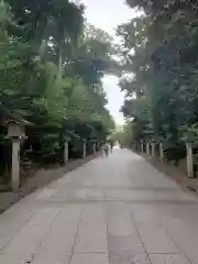 寒川神社の建物その他