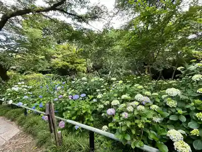 念佛院(奈良県)