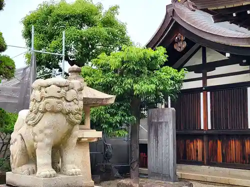 荒井神社の狛犬